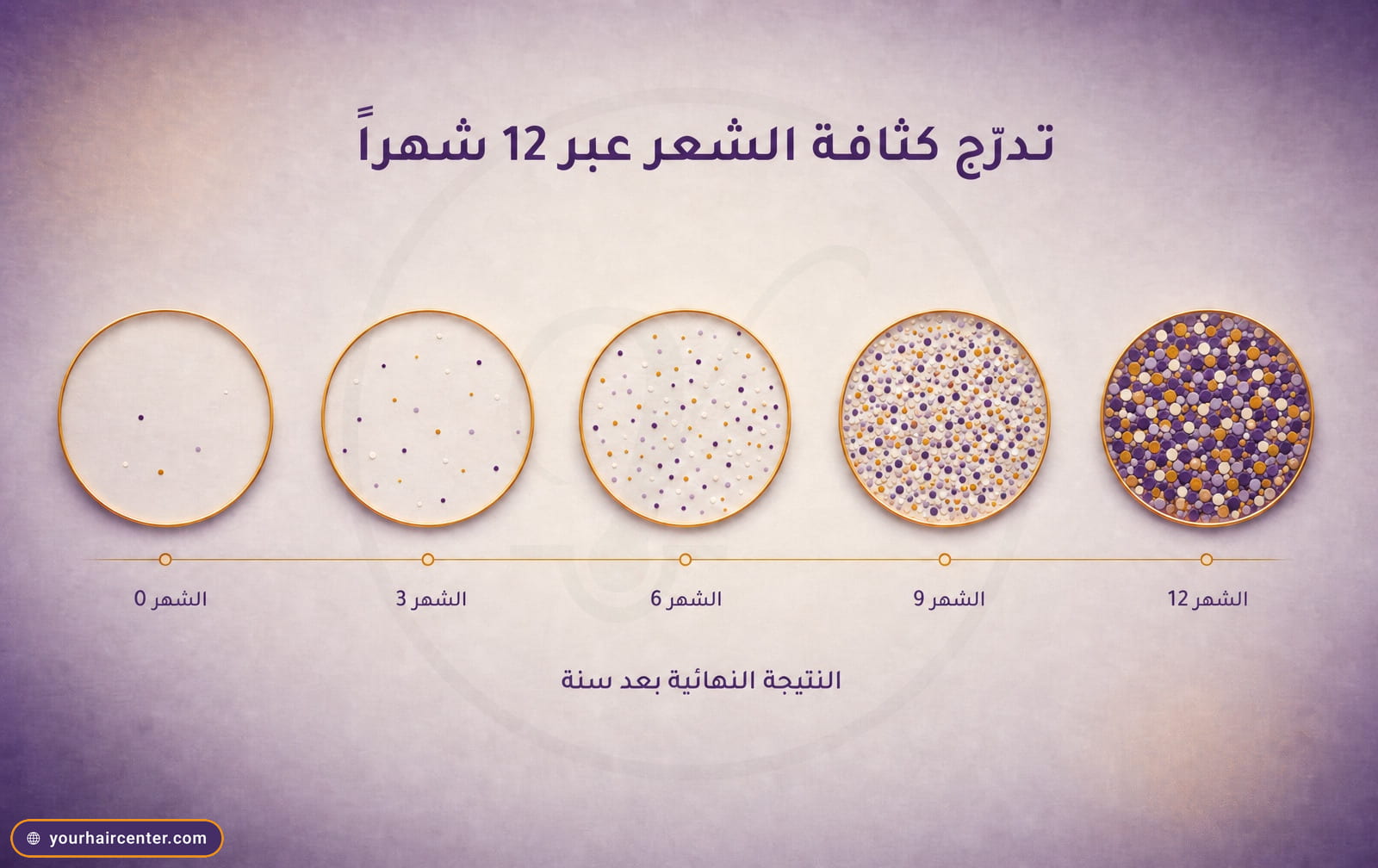 إنفوجرافيك مجرد بخمس دوائر تتدرج من قليلة النقاط إلى مكتظة عبر أشهر 0 و3 و6 و9 و12 على خلفية أرجوانية ناعمة بإطارات ذهبية