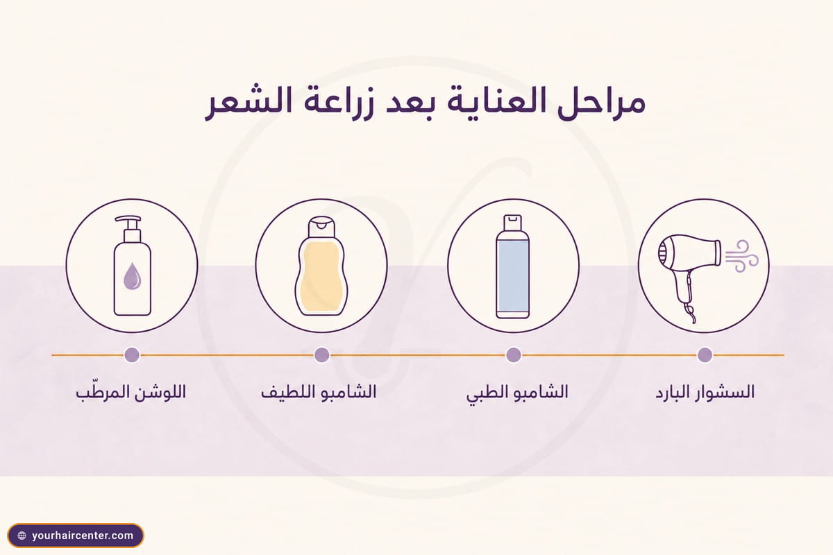 خط زمني أفقي بأربعة رموز بنفسجية تمثل مراحل العناية بعد زراعة الشعر، اللوشن المرطّب ثم الشامبو اللطيف ثم الشامبو الطبي ثم السشوار البارد