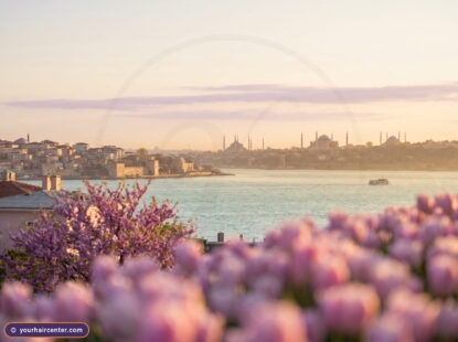 إطلالة هادئة على البوسفور وقباب اسطنبول التاريخية في صباح ربيعي دافئ مع توليب وردي وضوء ذهبي ولون كريمي بنفسجي