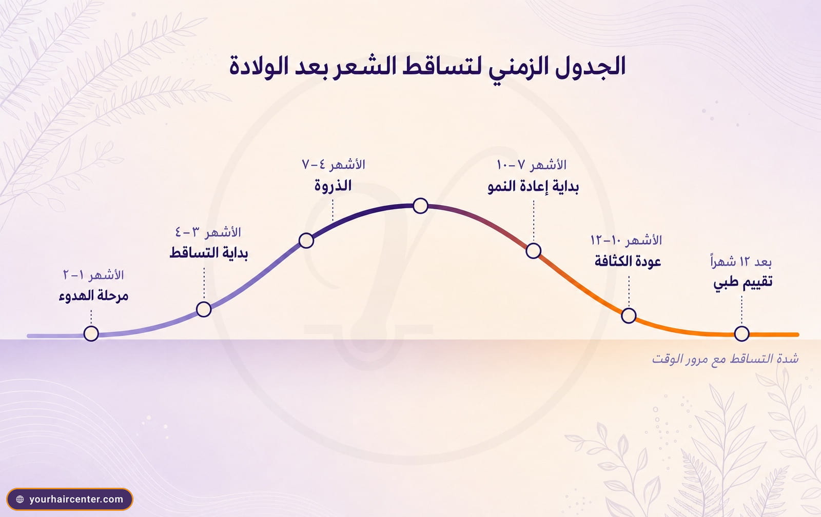 منحنى تساقط الشعر بعد الولادة عبر 12 شهراً، يبدأ هادئاً ويبلغ ذروته بين الشهر 4 و7 ثم يهبط حتى عودة الكثافة