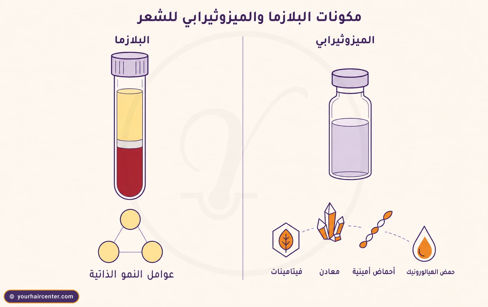 إنفوجرافيك يقارن مكونات البلازما وعوامل النمو الذاتية بمكونات كوكتيل الميزوثيرابي من فيتامينات ومعادن وأحماض أمينية وحمض هيالورونيك