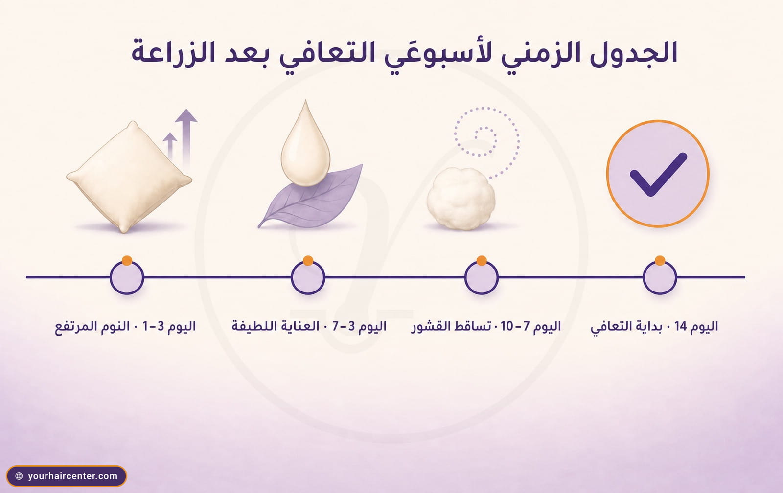 خط زمني من أربع محطات لمراحل التعافي بعد زراعة الشعر بدون حلاقة، النوم المرتفع والعناية اللطيفة وتساقط القشور وبداية التعافي