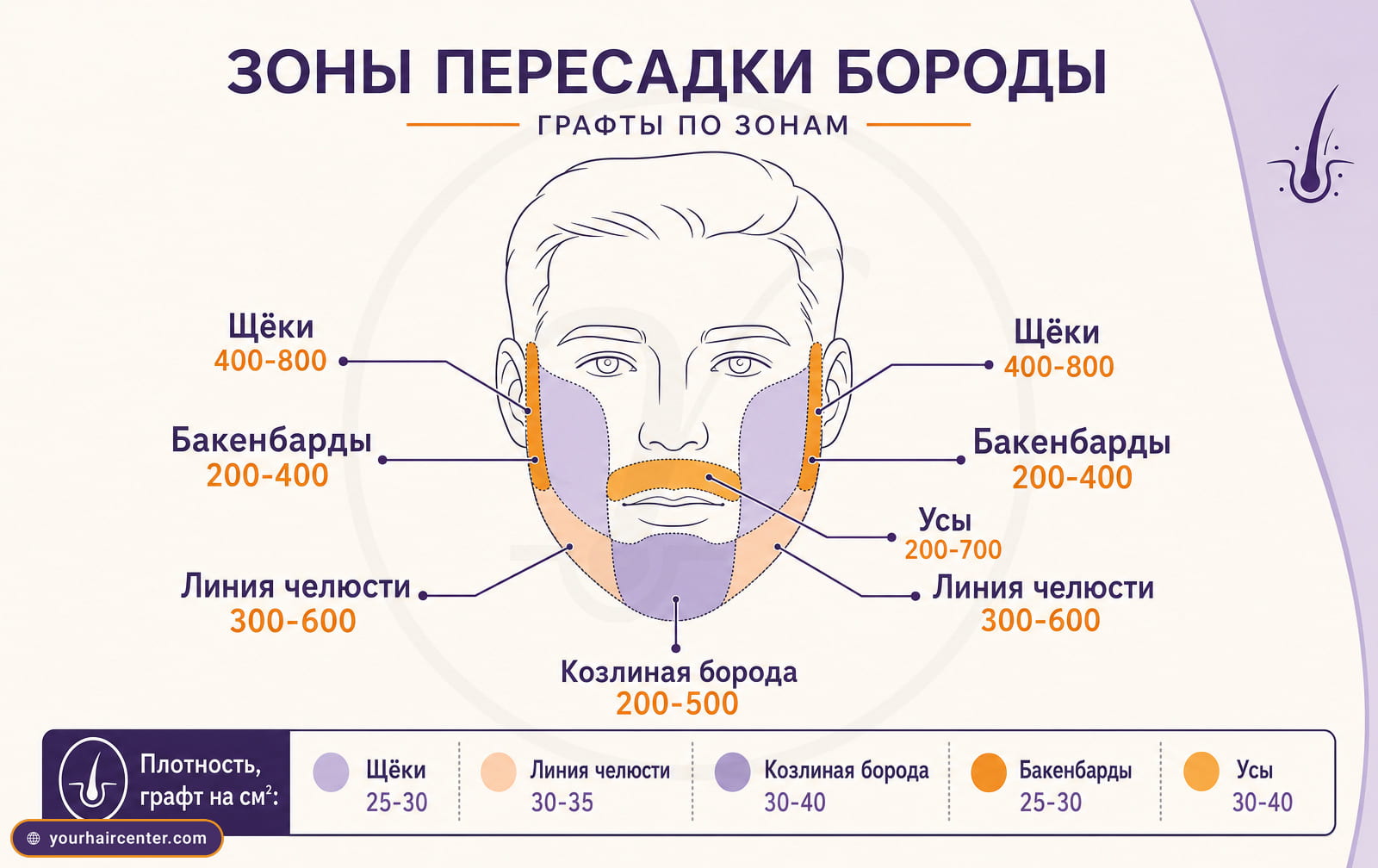 Зоны бороды с диапазонами графтов: щёки 400-800, челюсть 300-600, козлиная борода 200-500, бакенбарды 200-400, усы 200-700