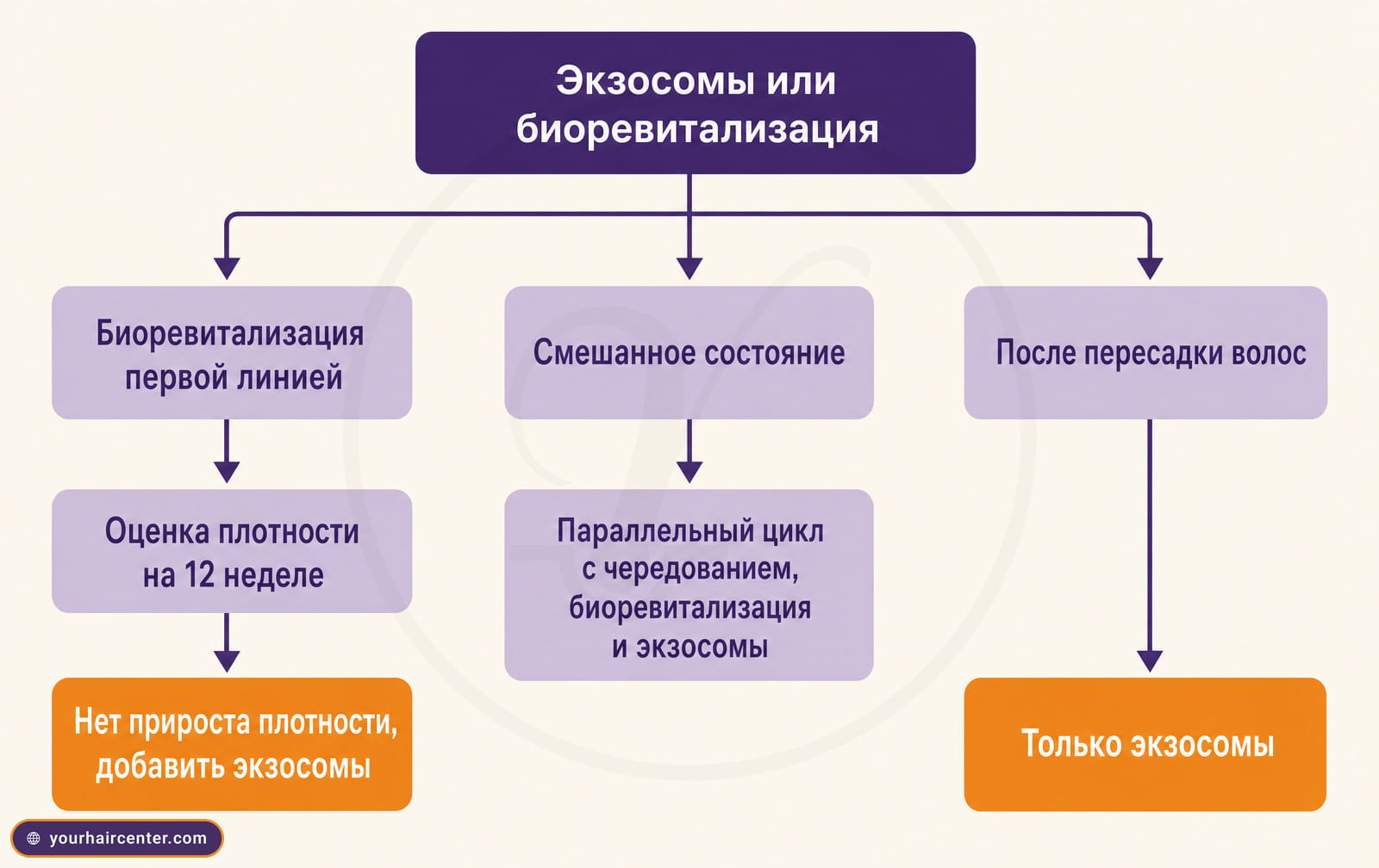 Схема выбора, биоревитализация первой линией, экзосомы при отсутствии прироста плотности, после пересадки только экзосомы
