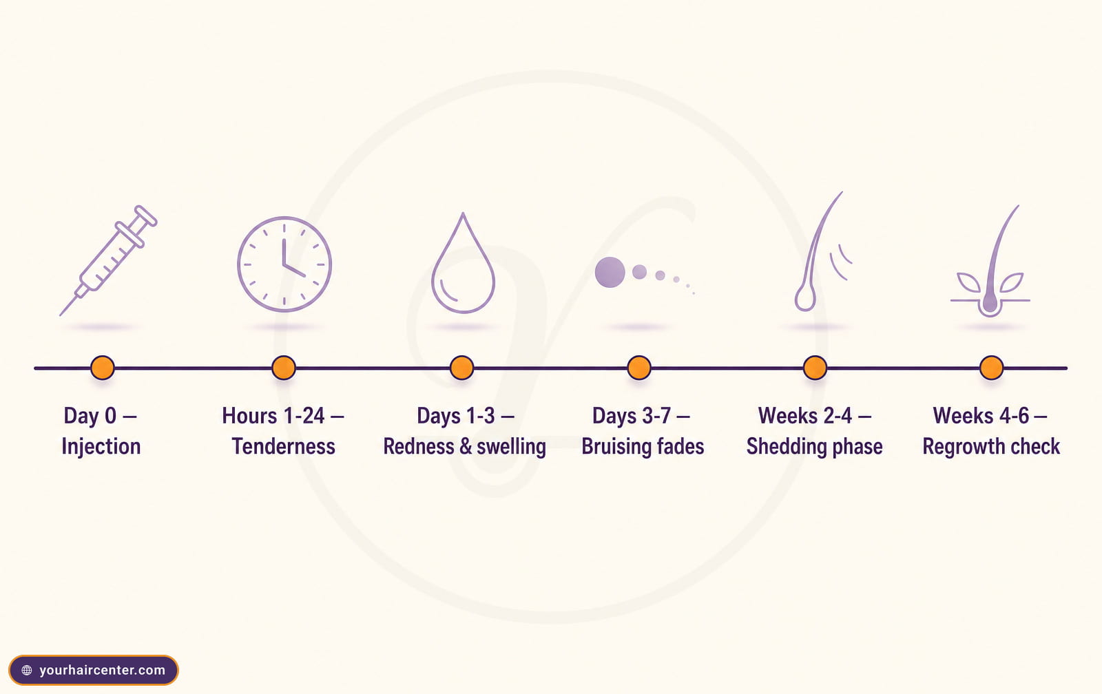 Timeline of transient exosome hair side effects from day 0 injection through redness, bruising, and shedding to regrowth