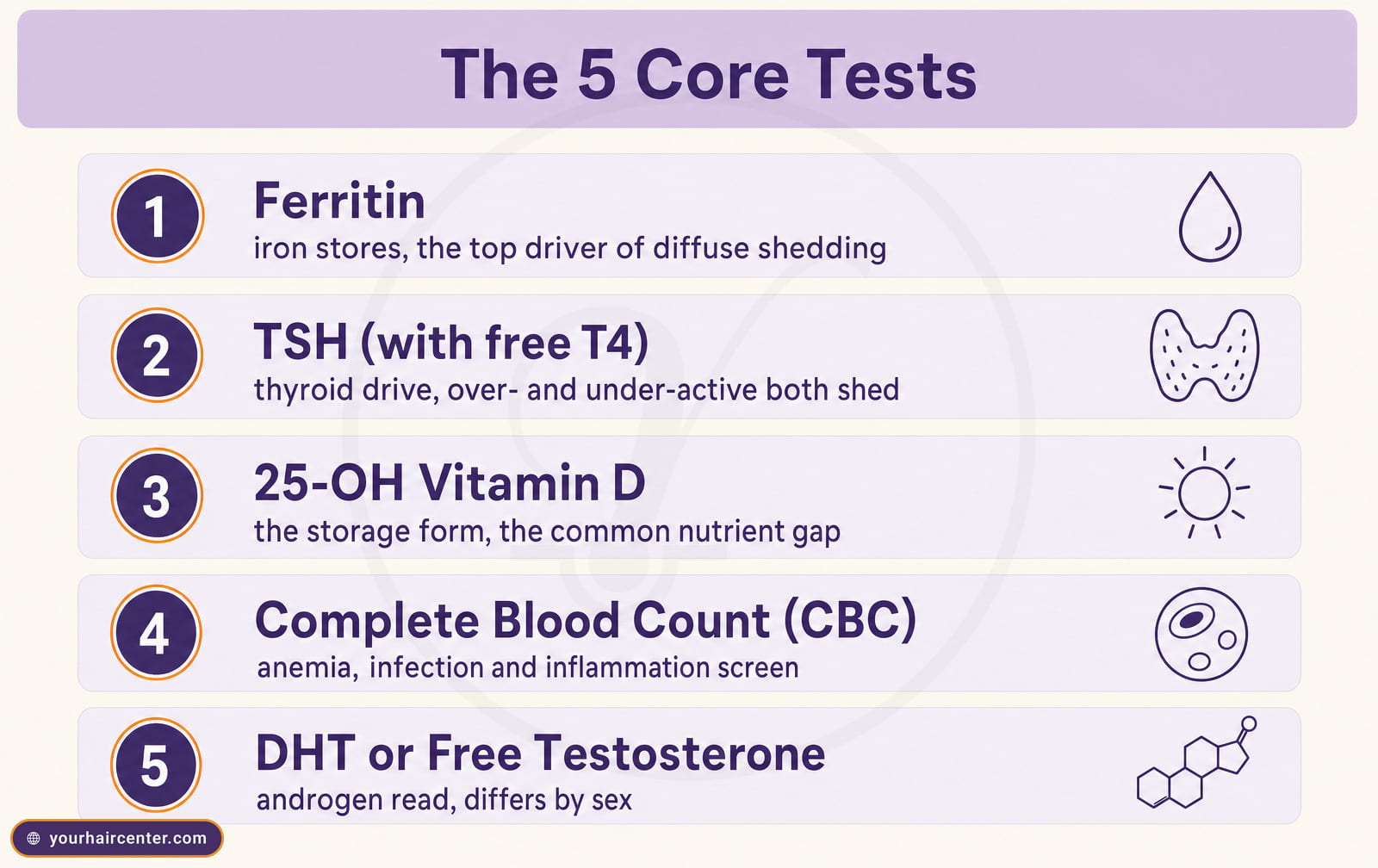 Checklist of the five core hair-loss tests: ferritin, TSH, 25-OH vitamin D, CBC and DHT, with what each reveals