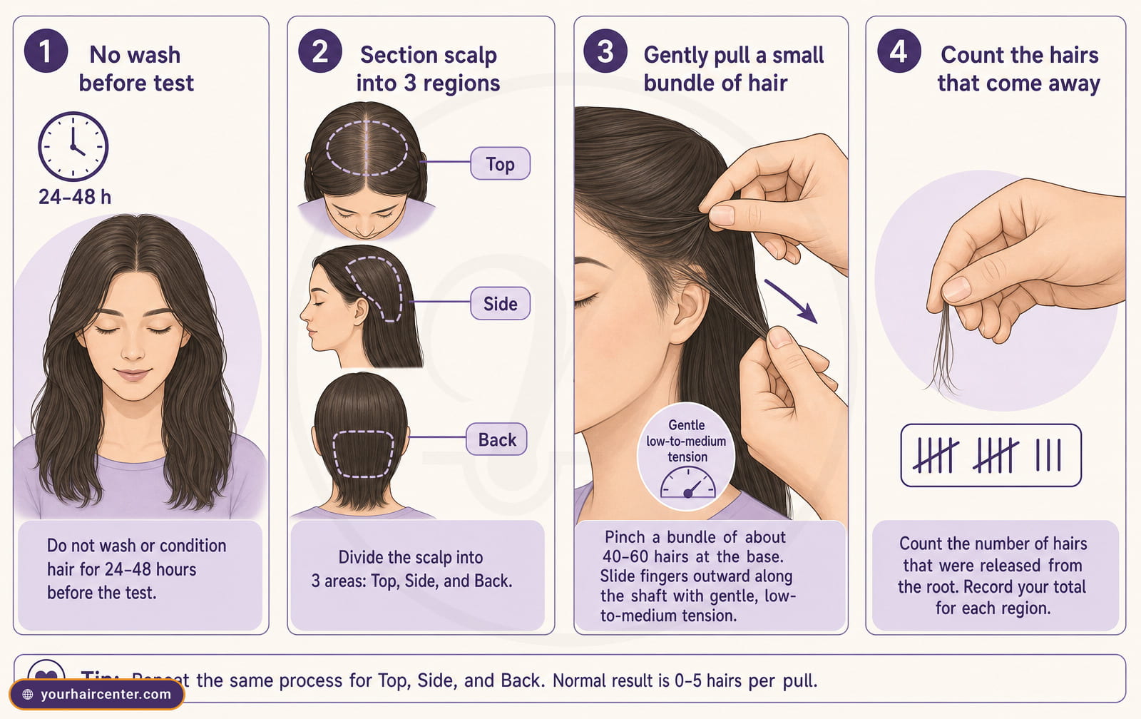 Four-panel hair pull test diagram: no wash 24-48 h, section scalp top, side and back, gentle pull, then count strands