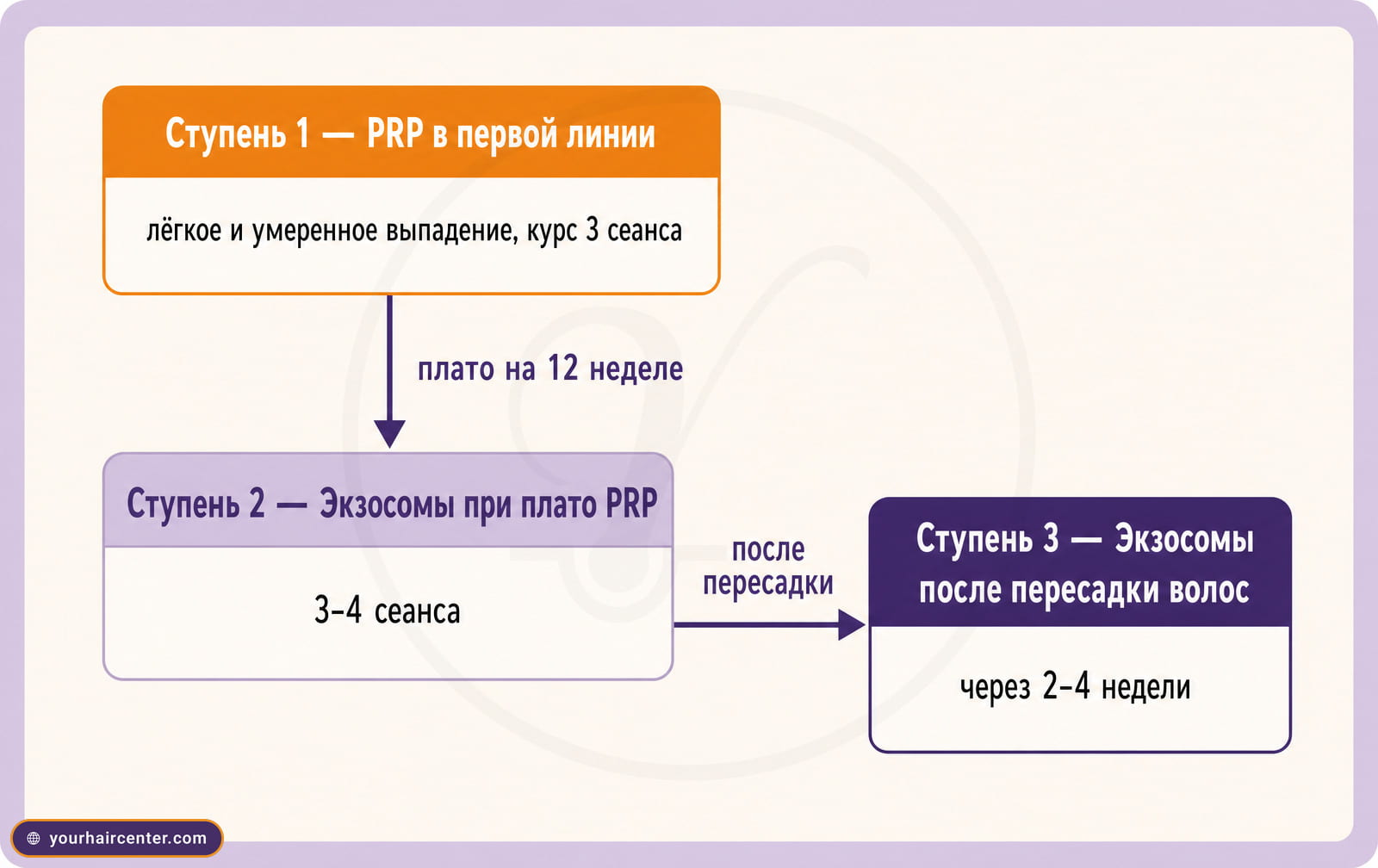 Блок-схема ступенчатого протокола, PRP в первой линии, экзосомы при плато PRP и экзосомы после пересадки волос