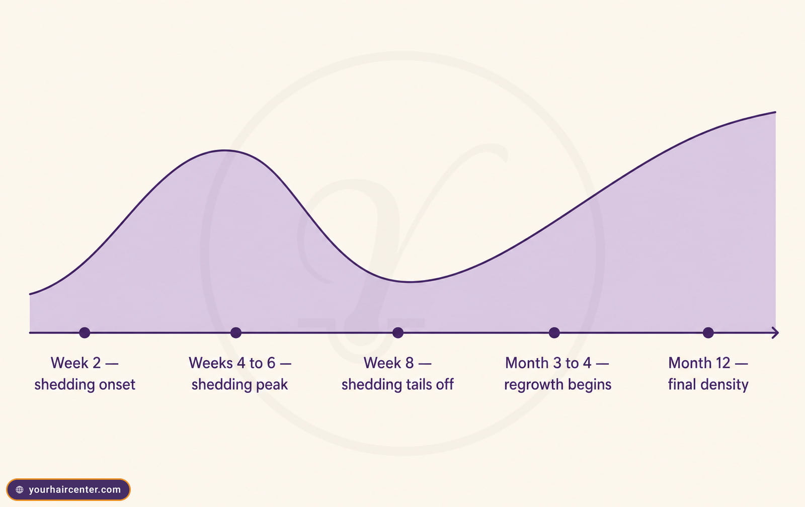 Timeline curve of shock loss from week 2 shedding onset through week 8 to month 12 final density