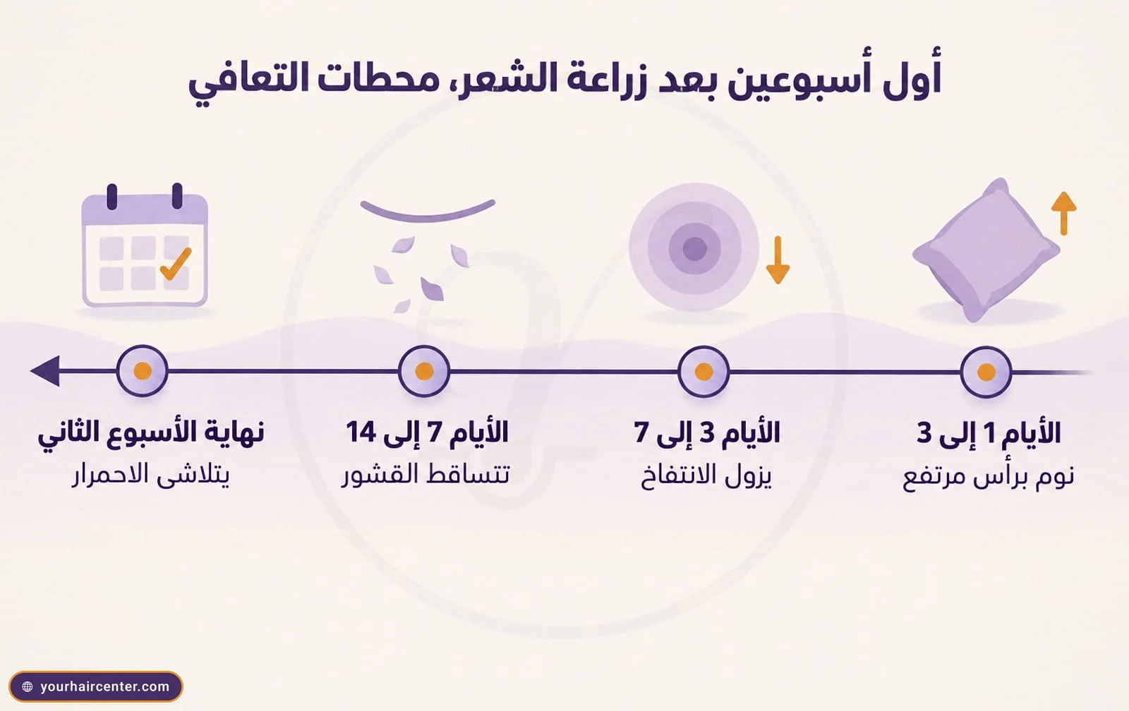 خط زمني من أربع محطات لأول أسبوعين بعد زراعة الشعر بدون حلاقة، من النوم برأس مرتفع إلى تلاشي الاحمرار